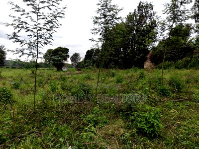 Eighth Acre Plot in Kerarapon Drive, Ngong 100m From Tarmac - Image 3