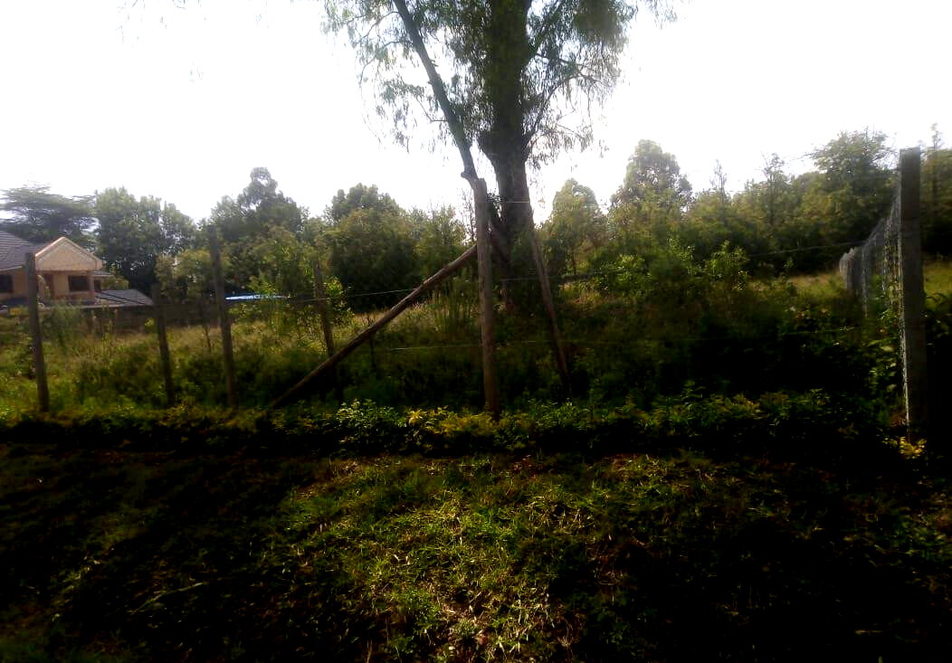 1-Acre Garden Plot with Parking