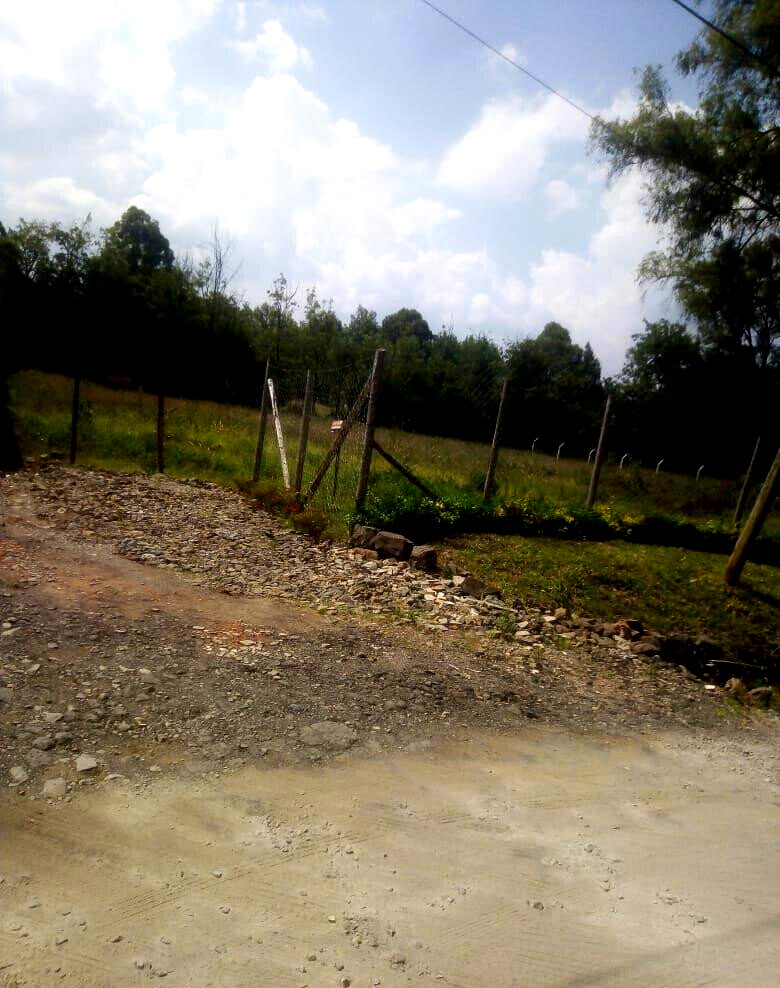 1-Acre Garden Plot with Parking