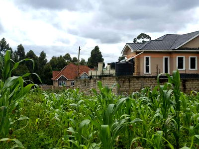 100x100 Residential Plot for Sale in Gikambura - Image 3