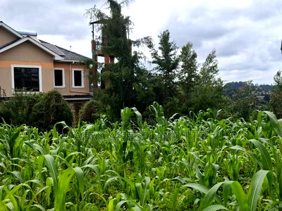 100x100 Residential Plot for Sale in Gikambura - Image 4