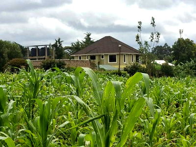 100x100 Residential Plot for Sale in Gikambura - Image 2
