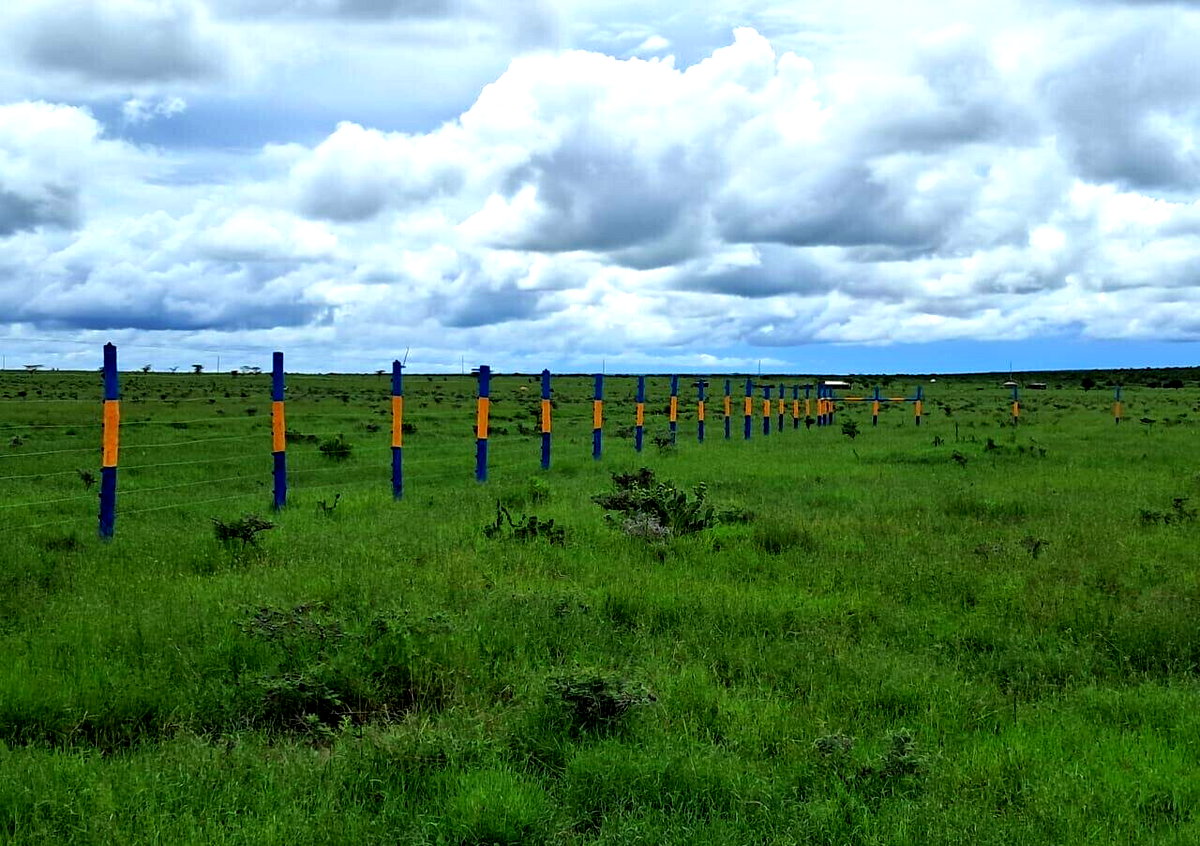2-Acre Garden Plot with Parking - KSh 4M
