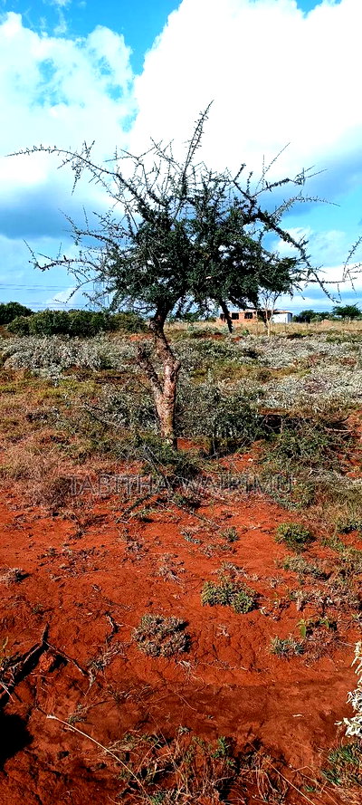 Prime Plots Along Kimuka Suswa Tarmac - Image 3