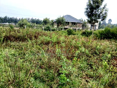 Distress Deal! Redsoil Eighth Acre Prime Plot in Ngong - Image 2