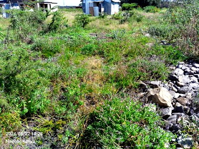 Prime 100*100 Plot for Sale Syokimau Parliament Road - Image 7