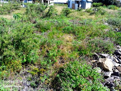 Prime 100*100 Plot for Sale Syokimau Parliament Road - Image 8