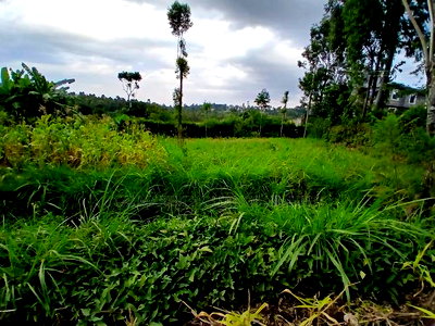 Distress Sale! 100 by 100 Plot in Olkeri, Ngong - Image 1