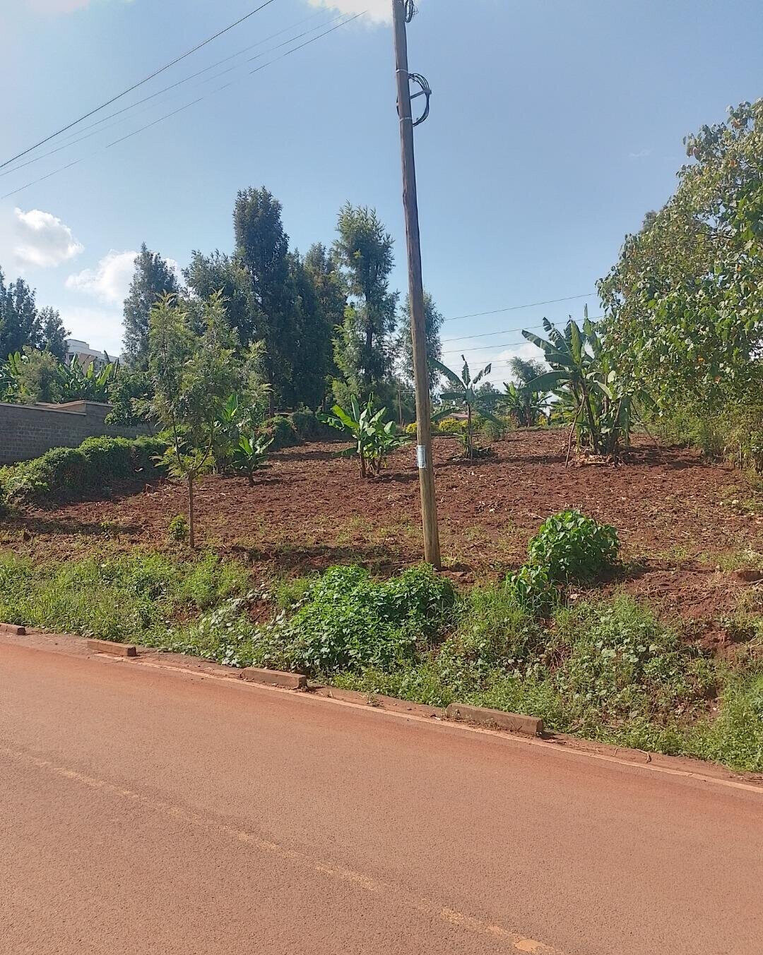24740.5 Acre Garden Plot