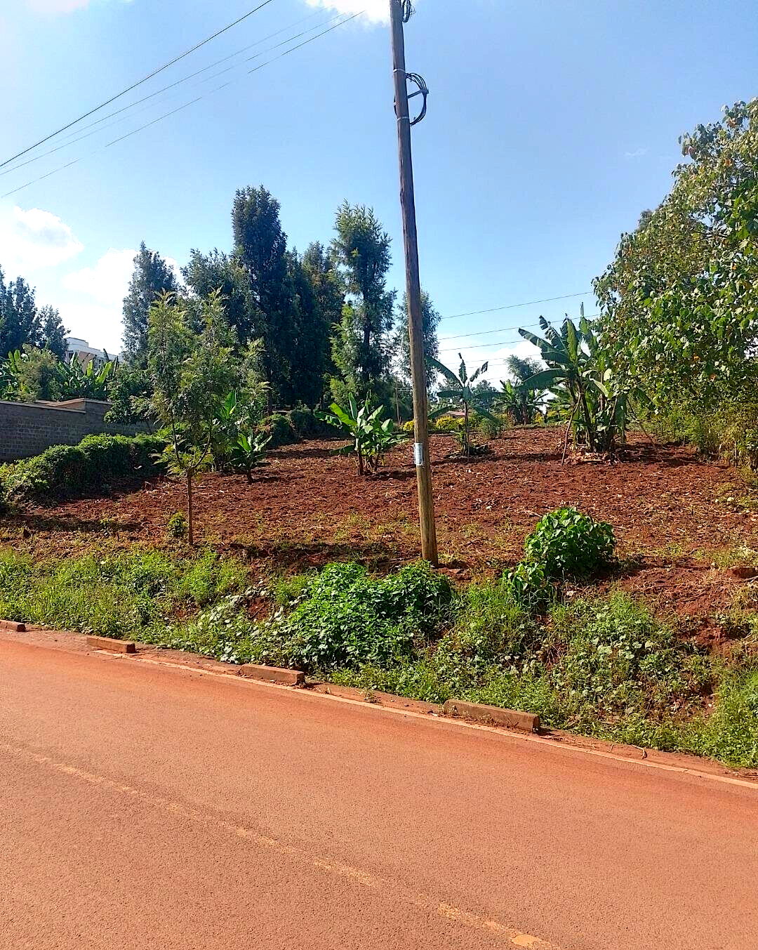 24740.5 Acre Garden Plot
