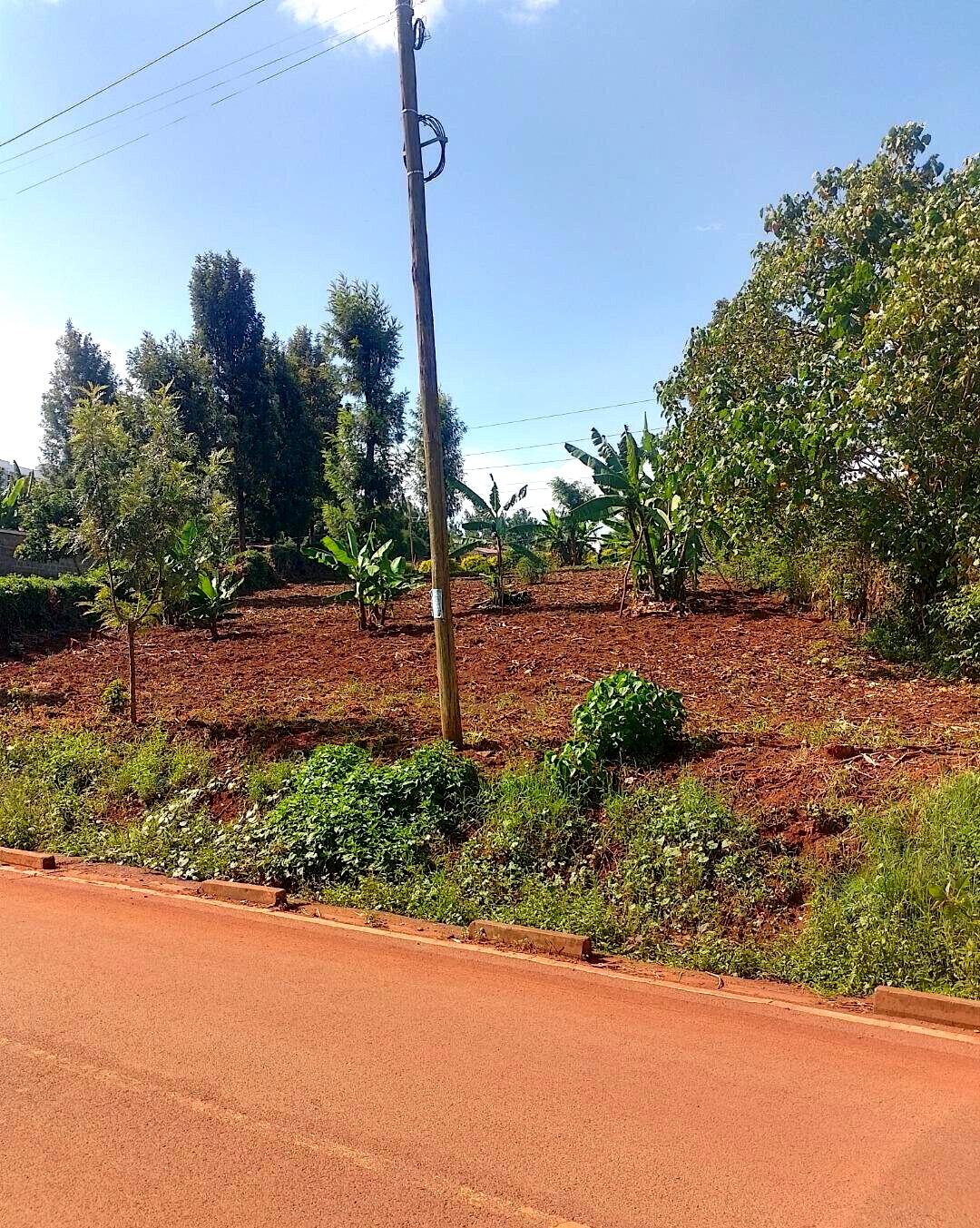 24740.5 Acre Garden Plot