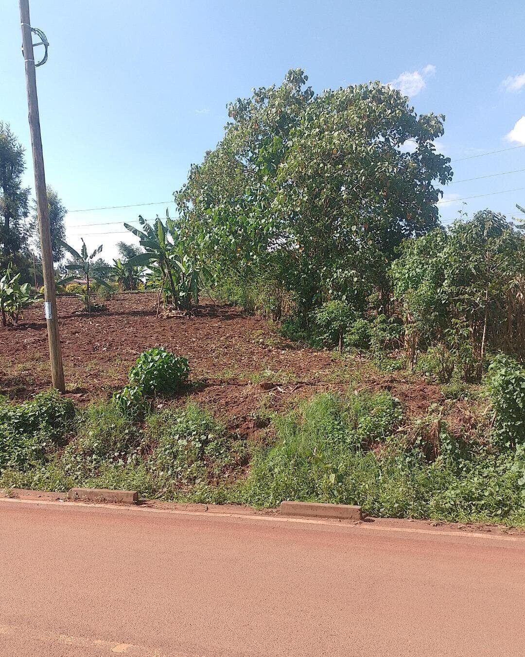 24740.5 Acre Garden Plot