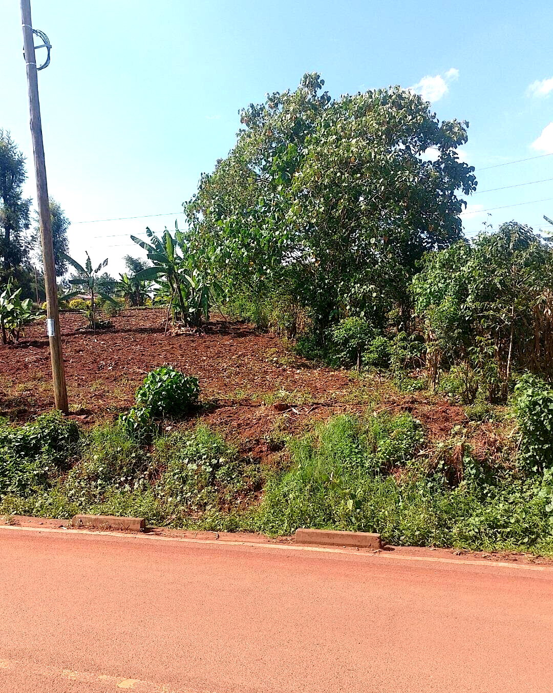 24740.5 Acre Garden Plot