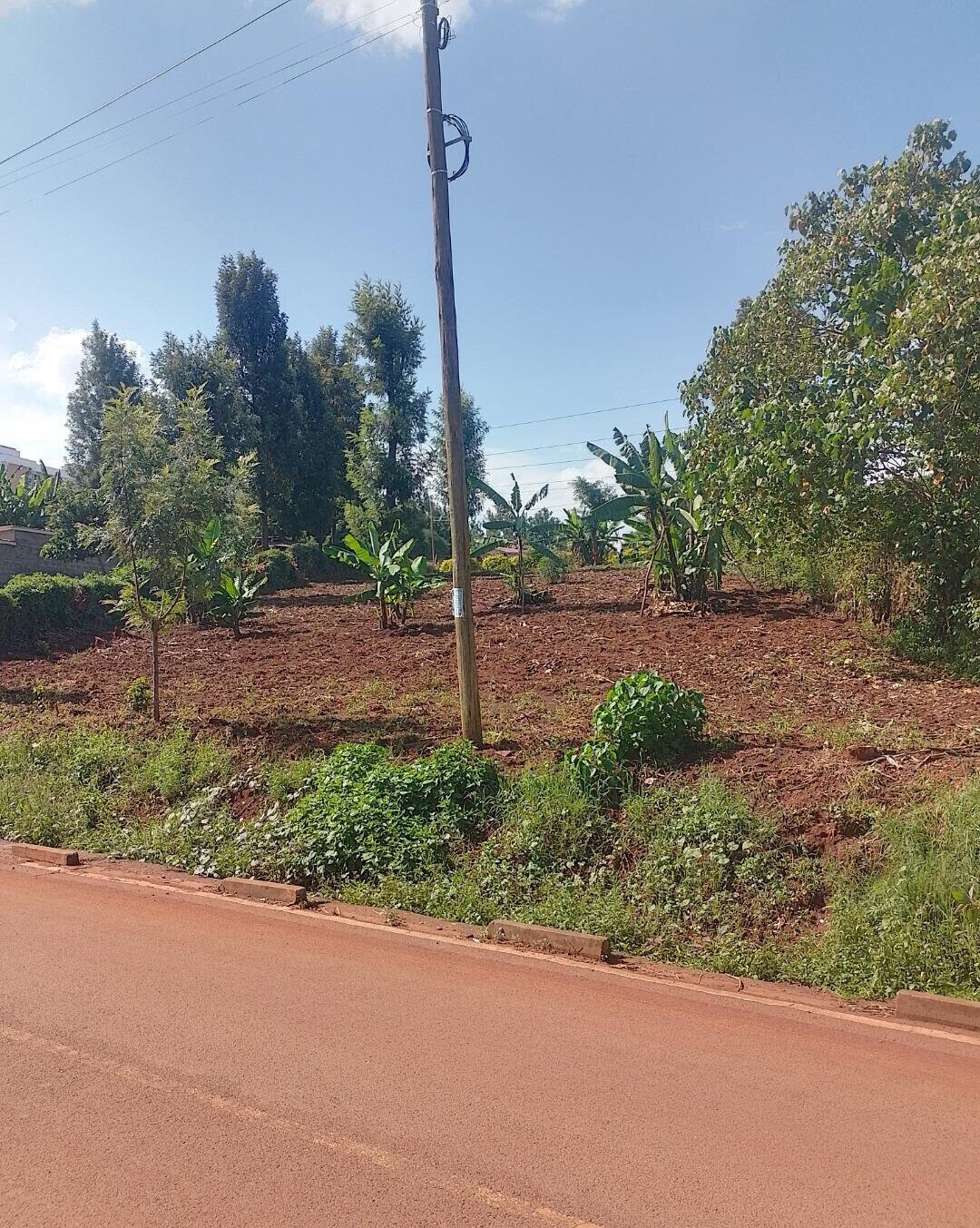 24740.5 Acre Garden Plot