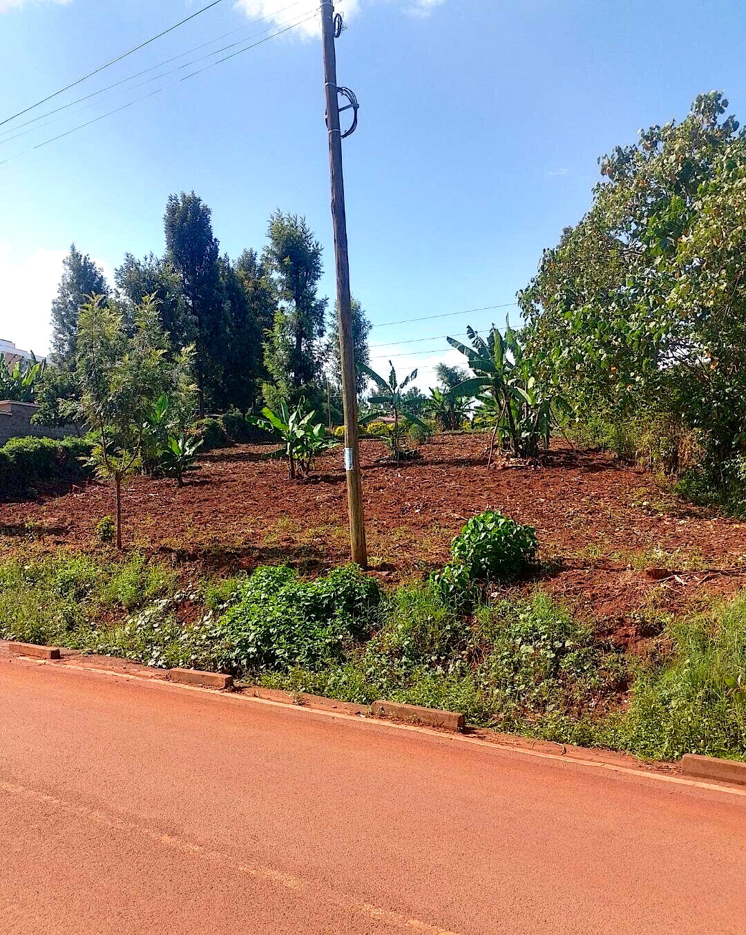 24740.5 Acre Garden Plot