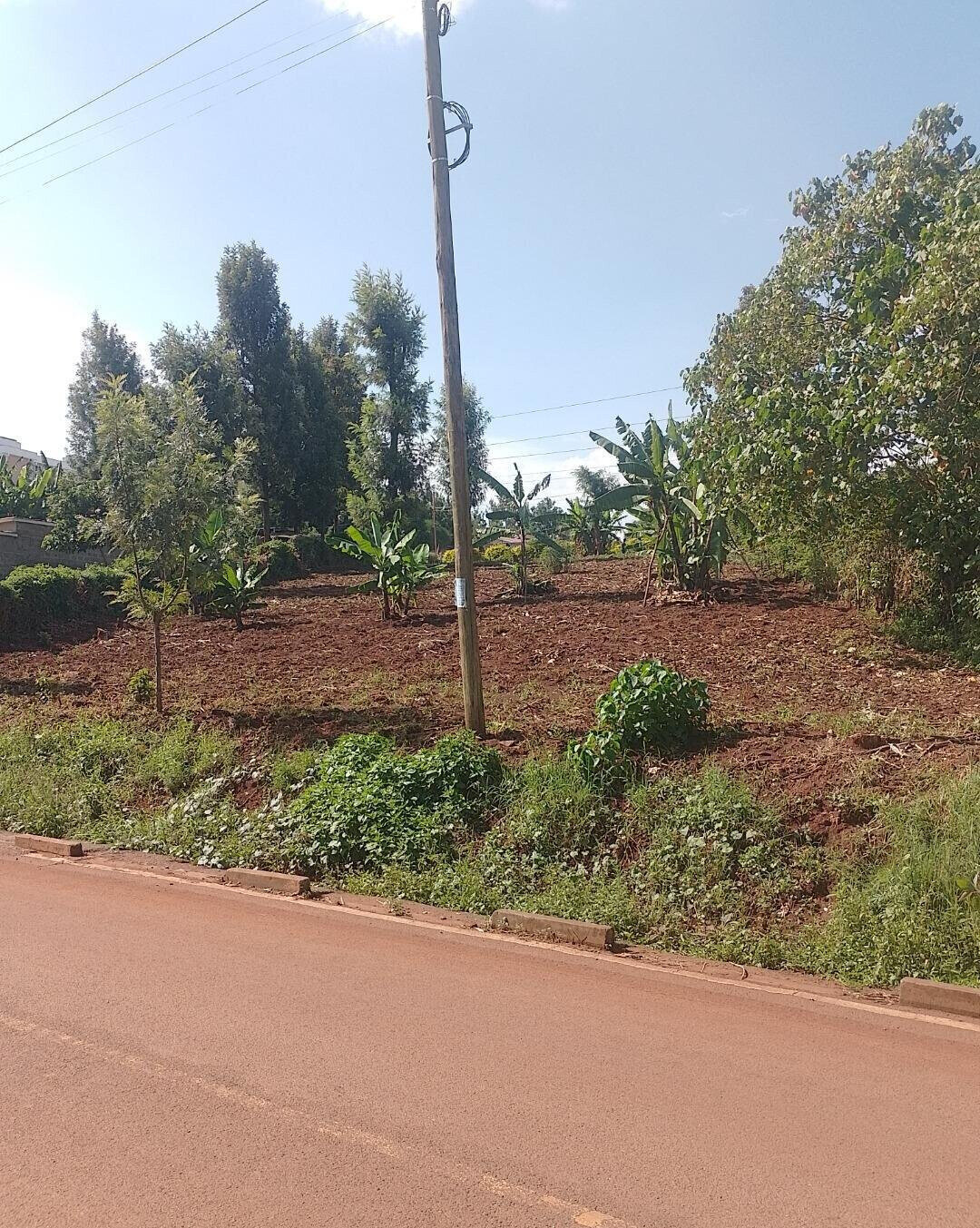 24740.5 Acre Garden Plot