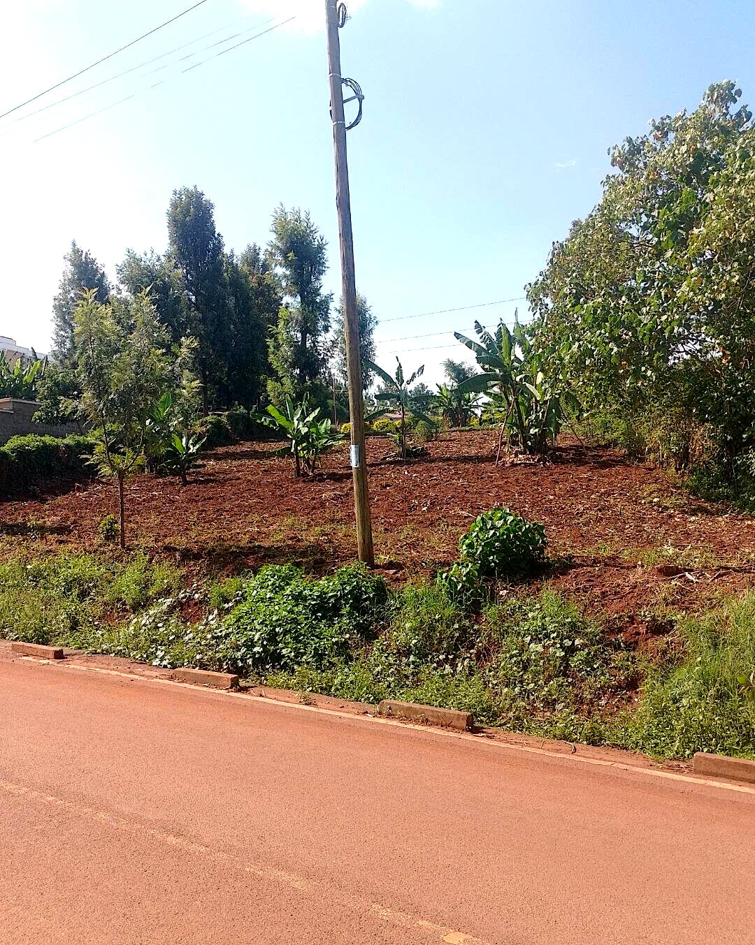 24740.5 Acre Garden Plot