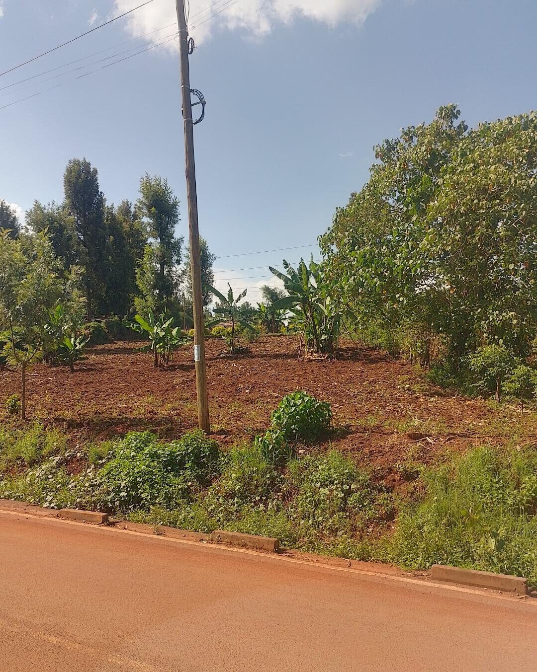 24740.5 Acre Garden Plot