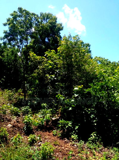 1/2 Acre Plot at End of 2nd Row, in Diani Beach. - Image 10