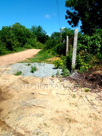1/2 Acre Plot at End of 2nd Row, in Diani Beach. - Image 5