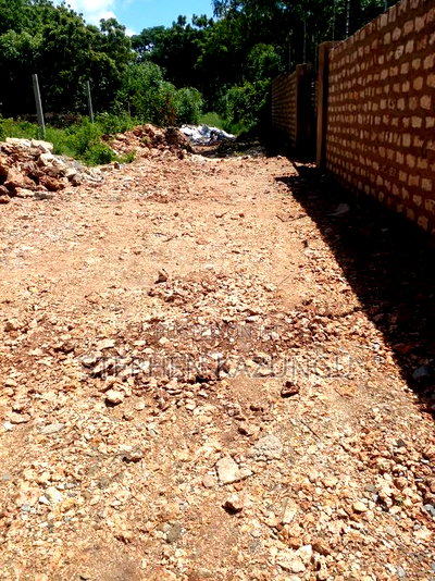 1/2 Acre Plot at End of 2nd Row, in Diani Beach. - Image 6