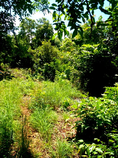 1/2 Acre Plot at End of 2nd Row, in Diani Beach. - Image 3