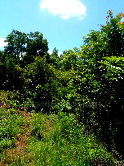 1/2 Acre Plot at End of 2nd Row, in Diani Beach. - Image 9