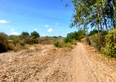 12-Acre Plot in Malindi Mijomboni