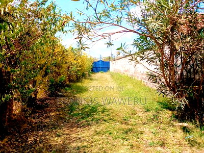 3bdrm Bungalow in Mugutha Estate, Murera for rent - Image 5