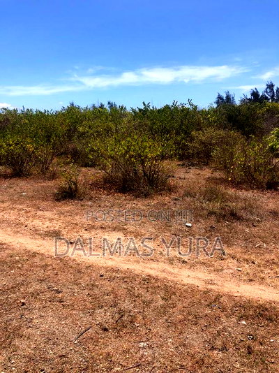 One Acre Land in Watamu - Image 2