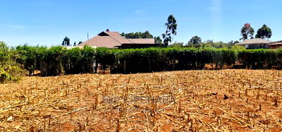 Full 1/4 Plot for Sale in Kipkenyo Rivertex Toad in Eldoret - Image 6