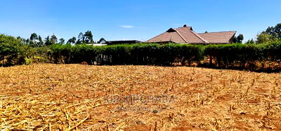 Full 1/4 Plot for Sale in Kipkenyo Rivertex Toad in Eldoret - Image 8