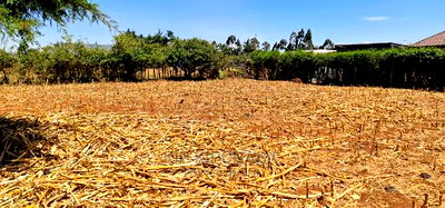 Full 1/4 Plot for Sale in Kipkenyo Rivertex Toad in Eldoret - Image 4