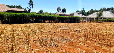 Full 1/4 Plot for Sale in Kipkenyo Rivertex Toad in Eldoret - Image 1