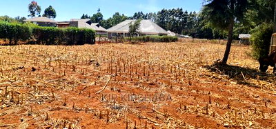 Full 1/4 Plot for Sale in Kipkenyo Rivertex Toad in Eldoret - Image 2
