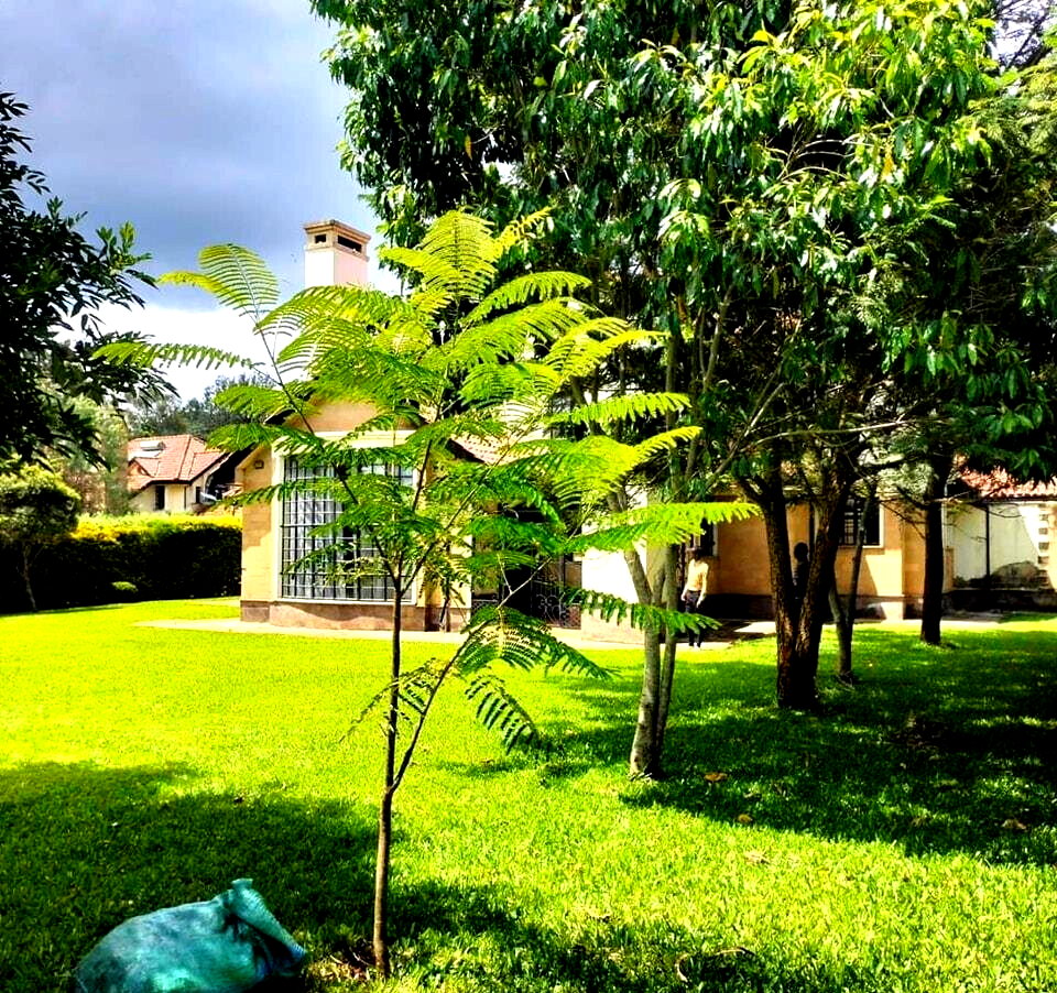 5-Ensuite Villa on Half-Acre with DSQ & Pantry – Karen Miotoni