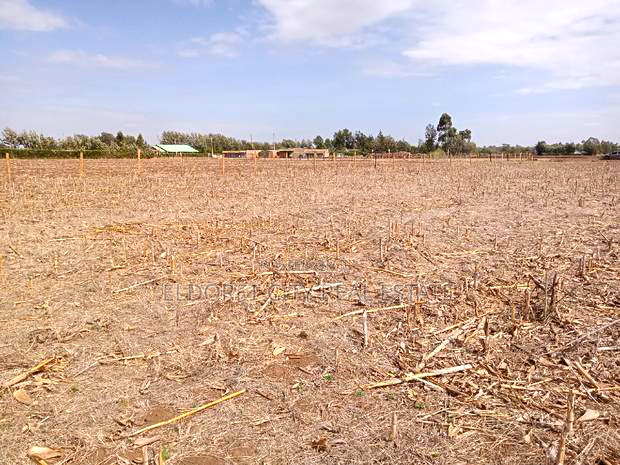 1/8 and 1/4 Plots Marura Touching Marura-Koshin Road