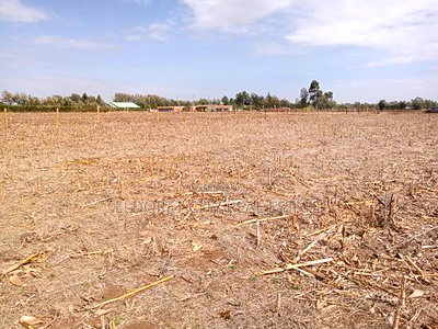 1/8 and 1/4 Plots Marura Touching Marura-Koshin Road - Image 1