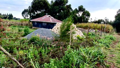 Prime Investment Opportunity - Rironi Kiroe - Image 4