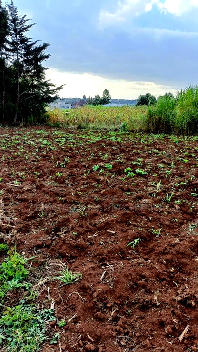 Prime Investment Opportunity - Rironi Kiroe - Image 1