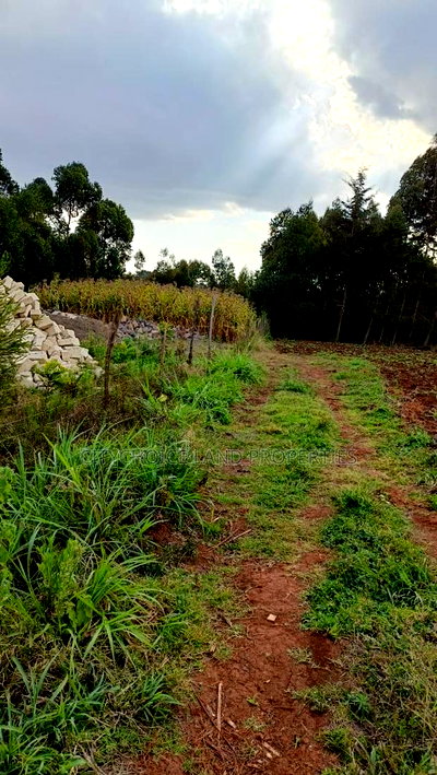 Prime Investment Opportunity - Rironi Kiroe - Image 2