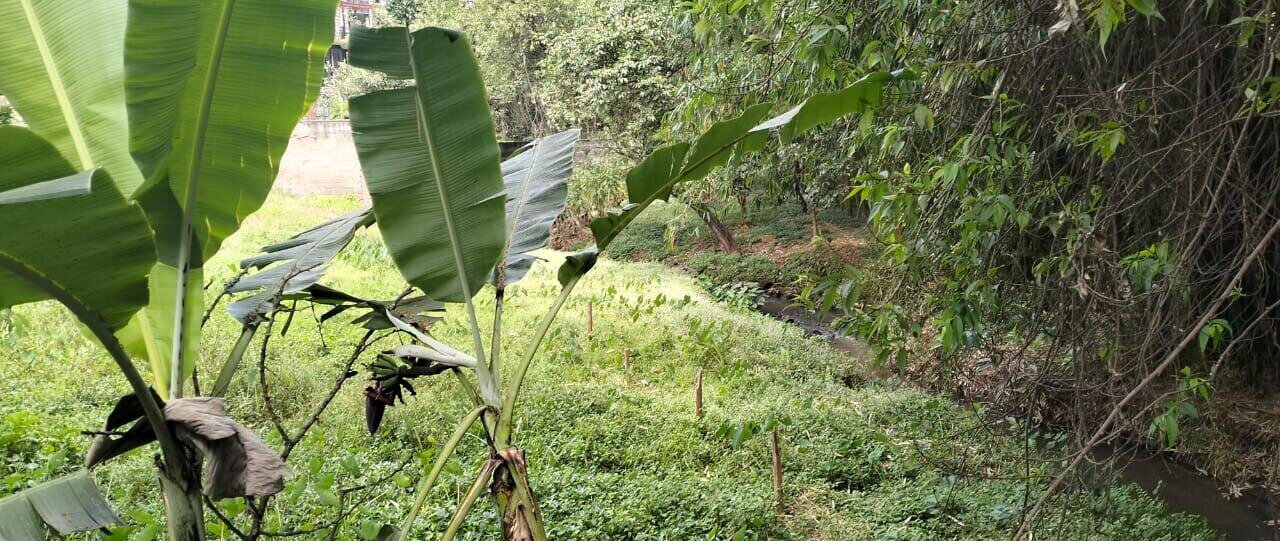 Garden Plot for KSh 285M