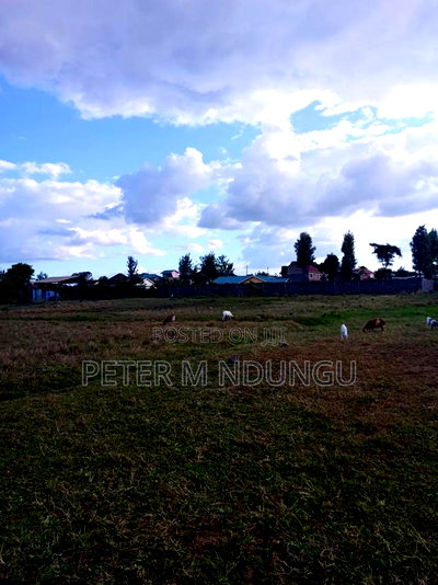 Prime Land on Sale, 1acre Kamakis - Image 6