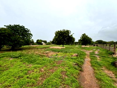 0.5 Acre for Sale in Kilifi Bofa Beach - Image 8