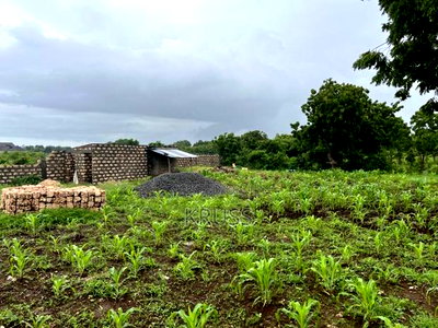 0.5 Acre for Sale in Kilifi Bofa Beach - Image 4