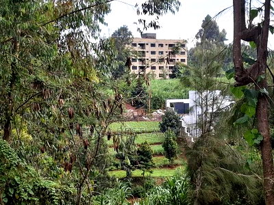 100x100 Plot for Sale in Kabete Gathiga - Image 6