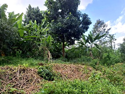 100x100 Plot for Sale in Kabete Gathiga - Image 3