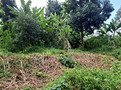 100x100 Plot for Sale in Kabete Gathiga - Image 5