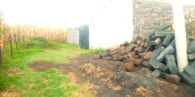 Plot at Nakuru Tumsifu No Far From NKR- Nyahururu Highway - Image 4