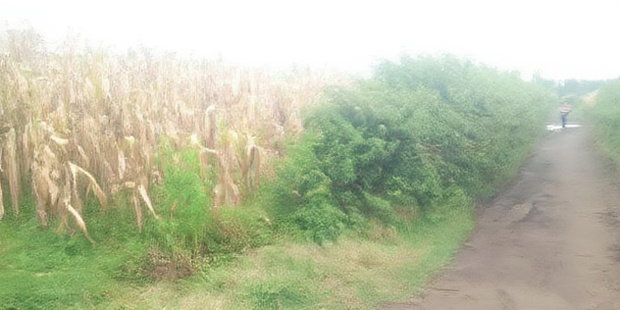 Plot at Nakuru Tumsifu No Far From NKR- Nyahururu Highway